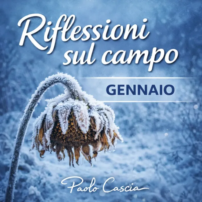 riflessioni-sul-campo-gennaio Gennaio - Riflessioni sul campo